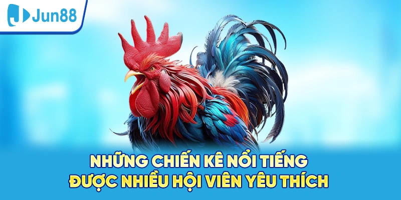 Những chiến kê nổi tiếng được nhiều hội viên yêu thích